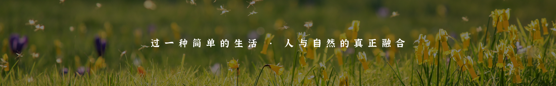 线路导览